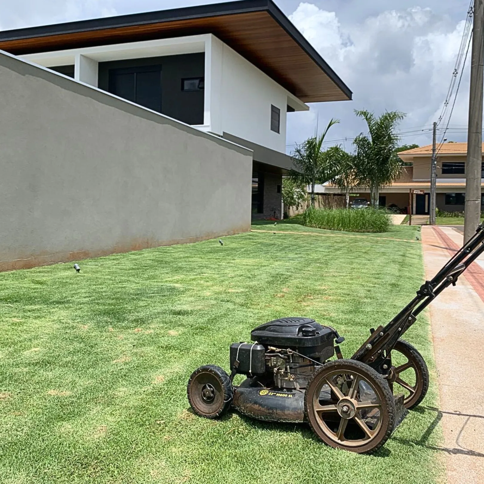 Corte e plantio de grama em Campo Grande MS