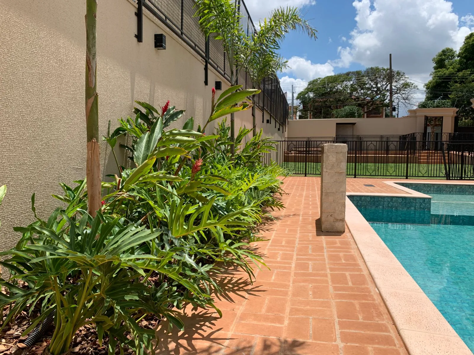 Paisagismo de área de piscina com plantas em Campo Grande
