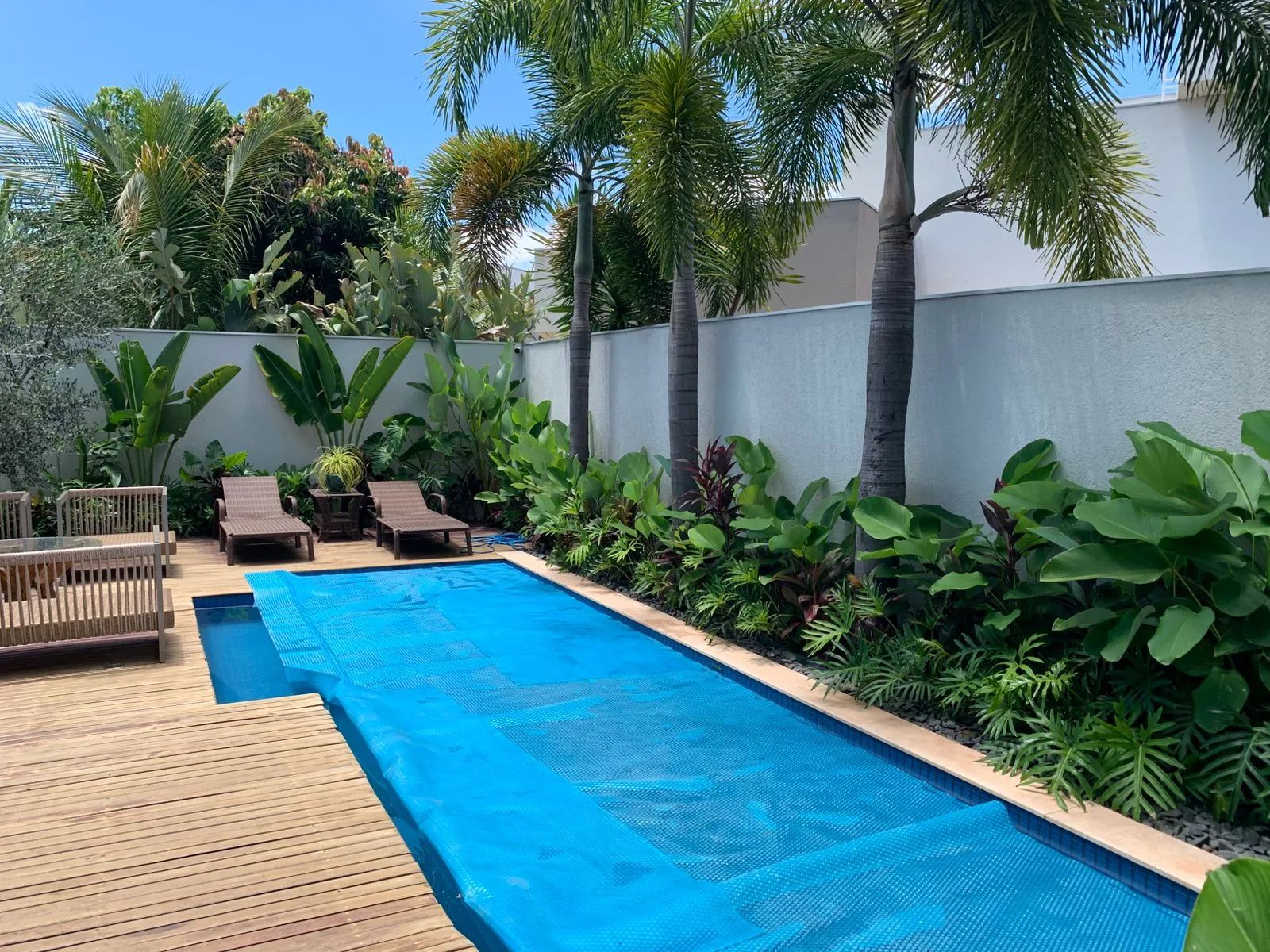 Paisagismo com piscina e jardim tropical em Campo Grande MS