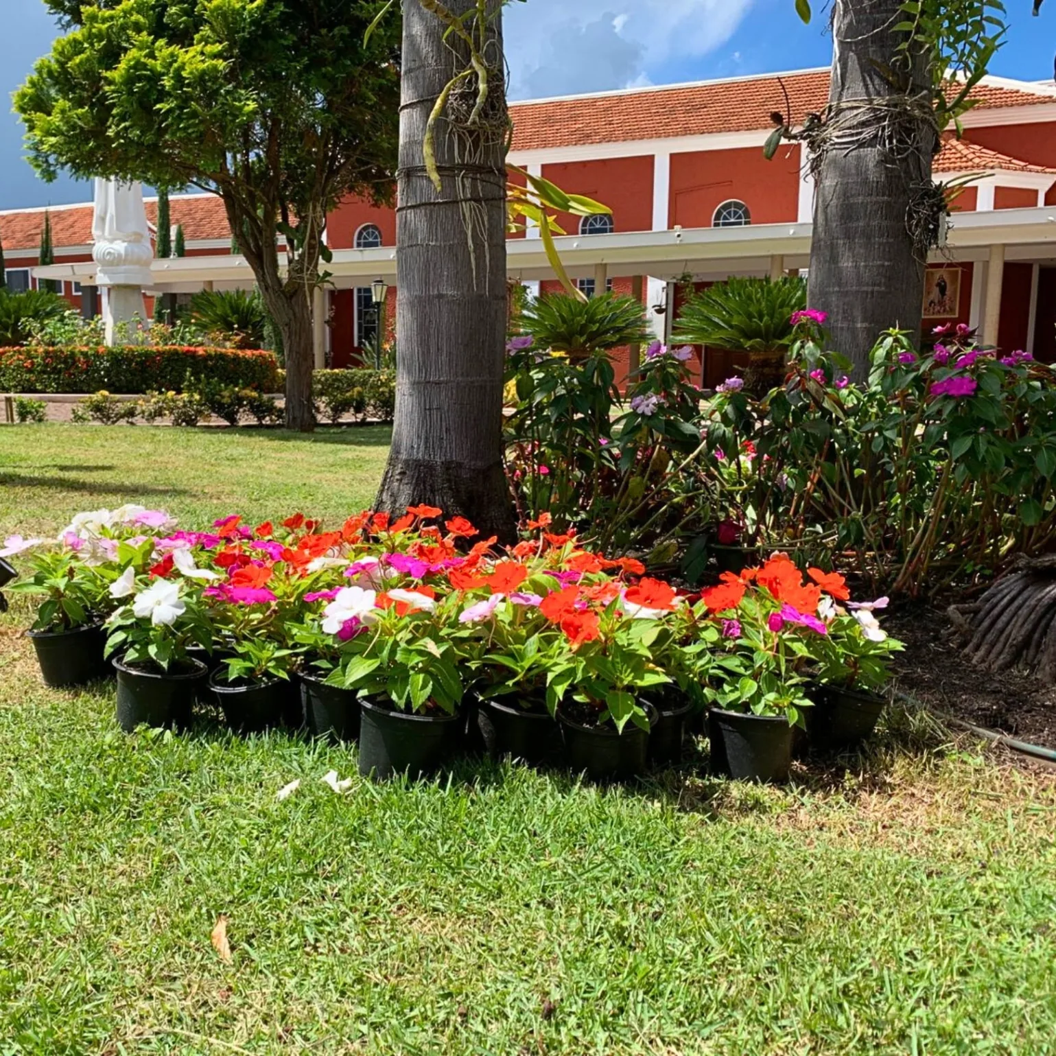 Serviço de jardinagem em Campo Grande MS