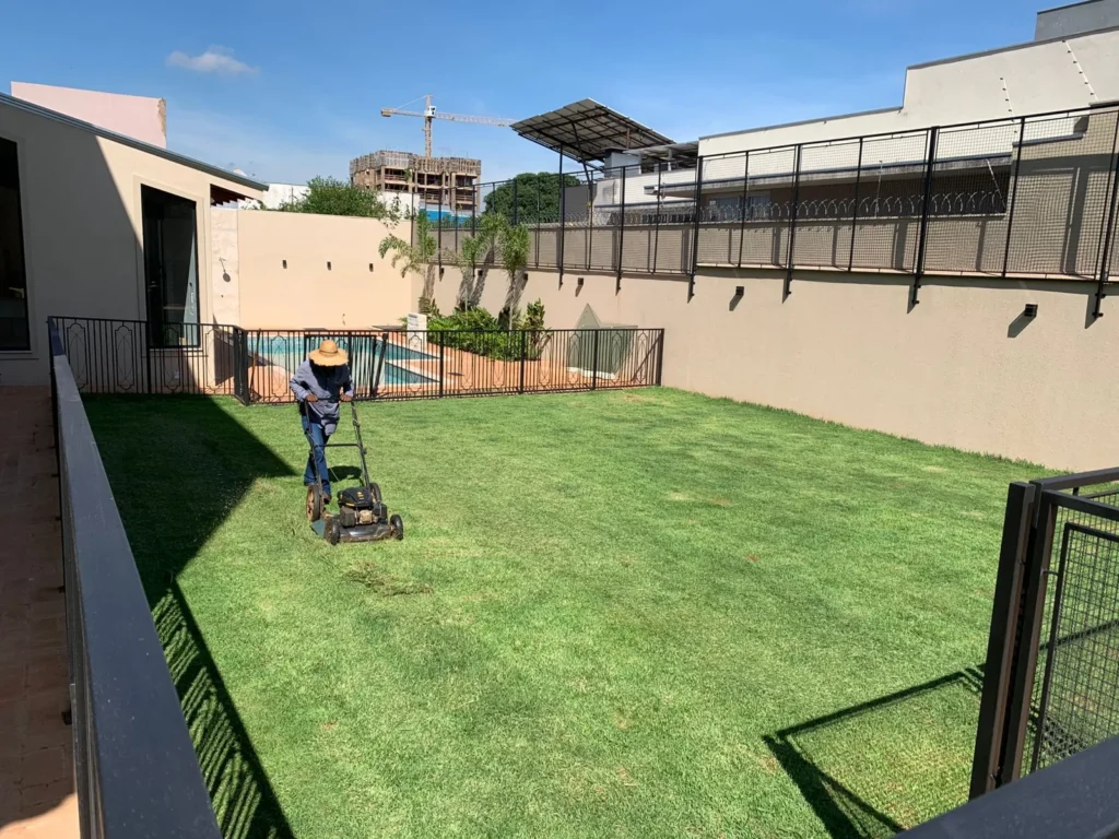 Poda profissional de árvore em jardim de Campo Grande MS